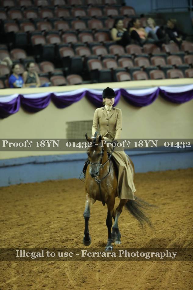 Proof 18YN_01432