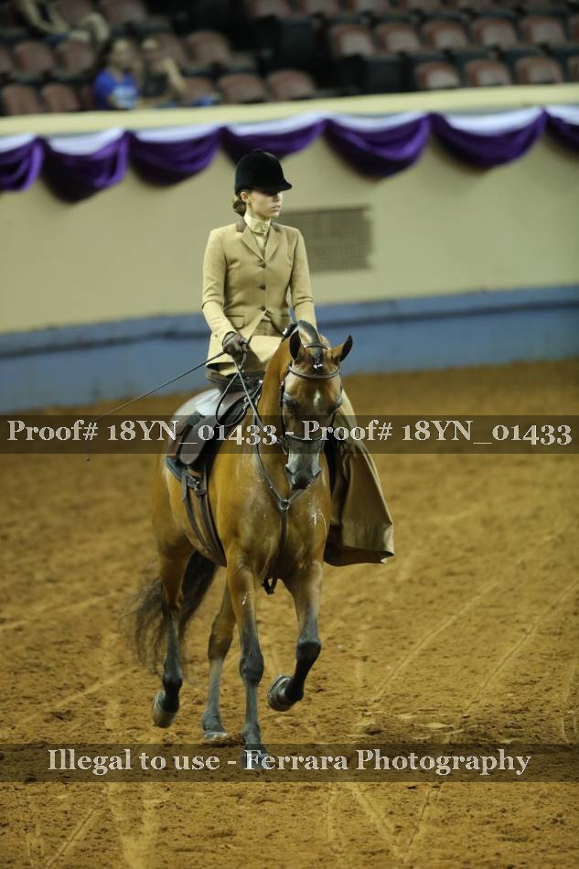 Proof 18YN_01433