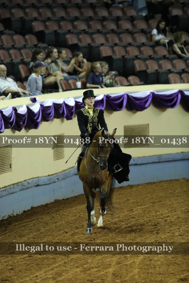 Proof 18YN_01438