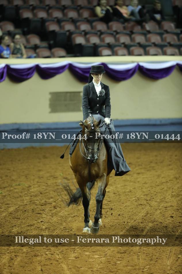 Proof 18YN_01444