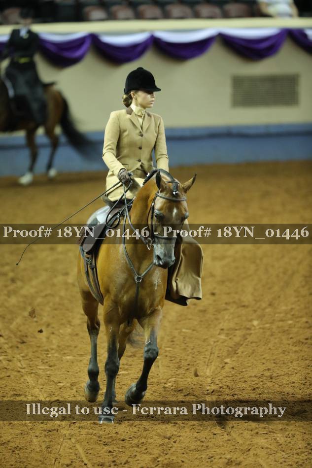 Proof 18YN_01446