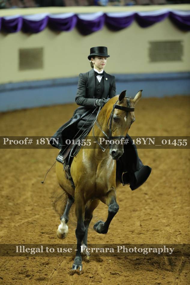Proof 18YN_01455