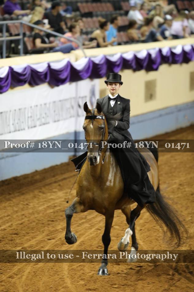 Proof 18YN_01471