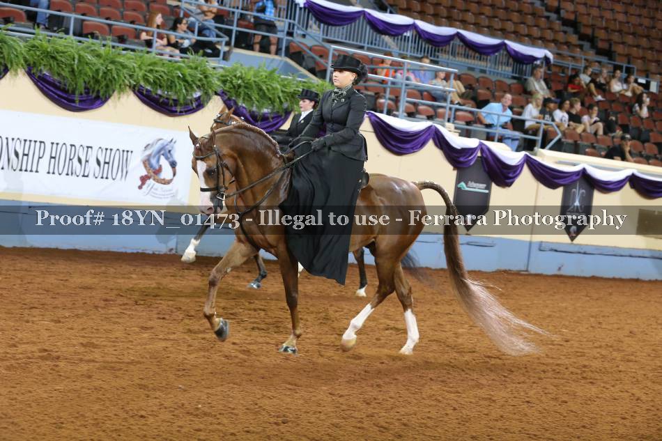 Proof 18YN_01473