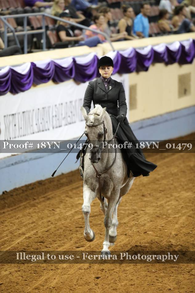 Proof 18YN_01479