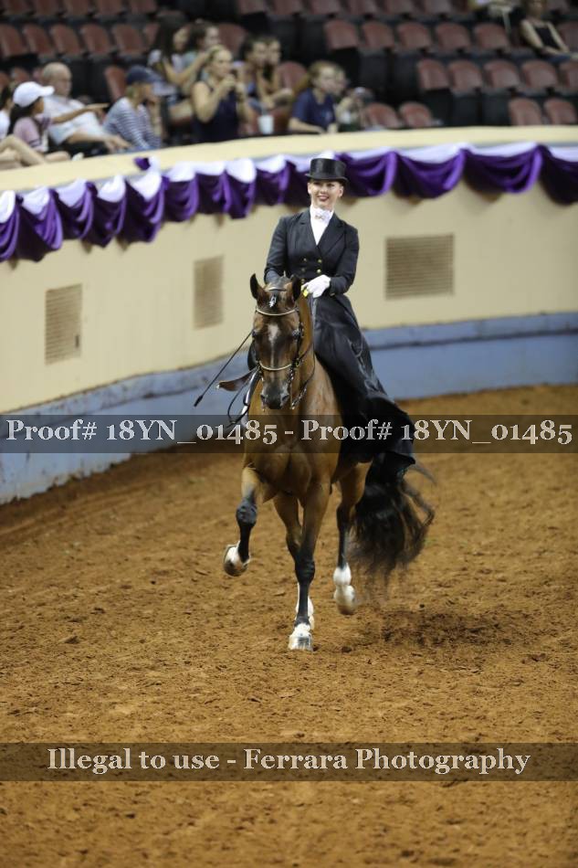Proof 18YN_01485