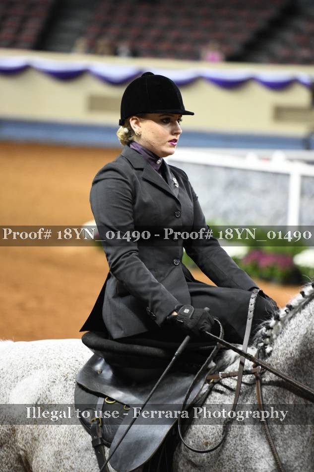 Proof 18YN_01490