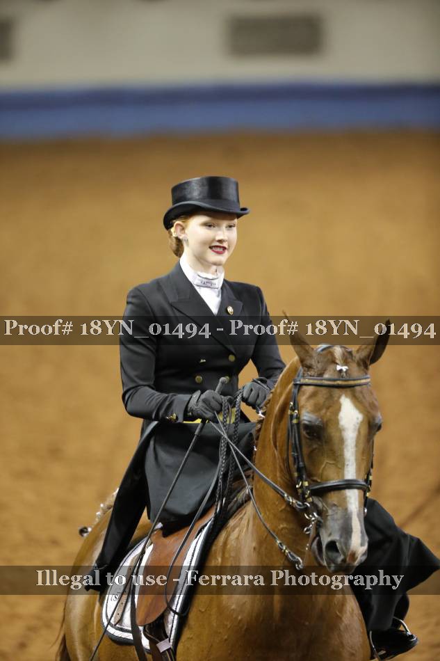 Proof 18YN_01494