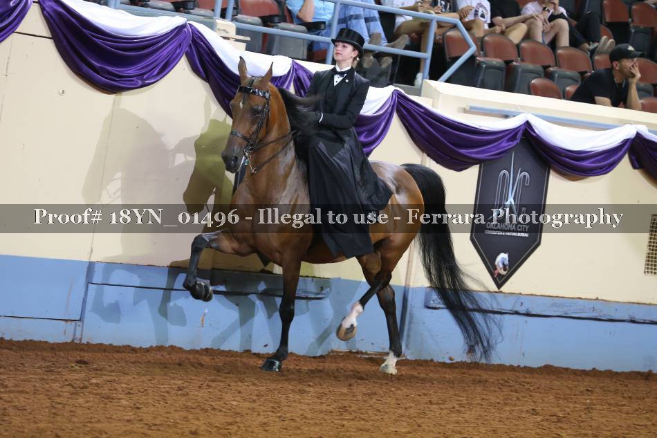 Proof 18YN_01496