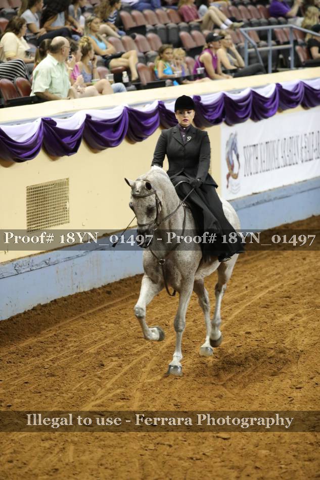Proof 18YN_01497