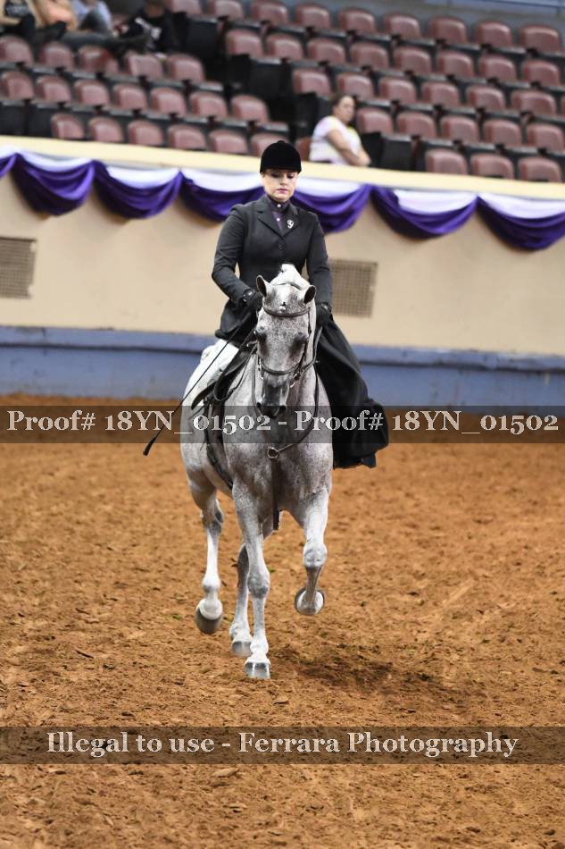 Proof 18YN_01502