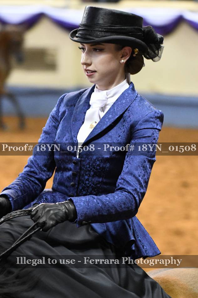 Proof 18YN_01508