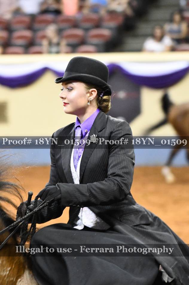 Proof 18YN_01509