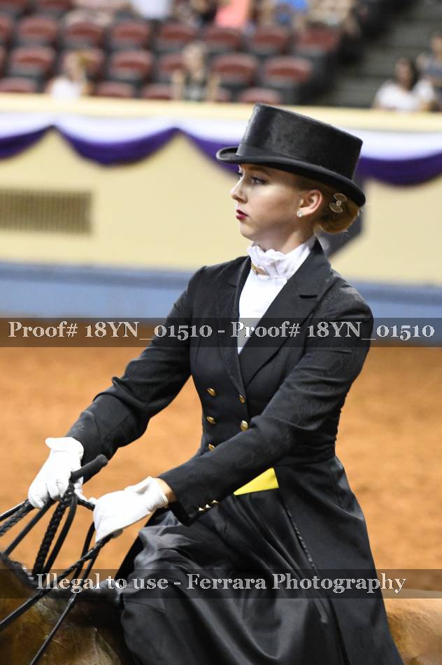 Proof 18YN_01510