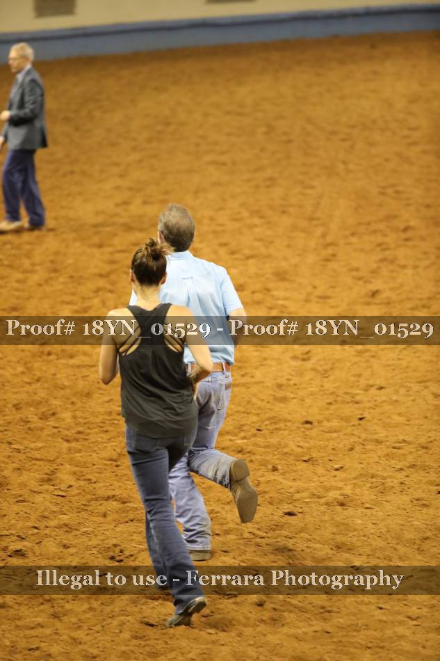Proof 18YN_01529