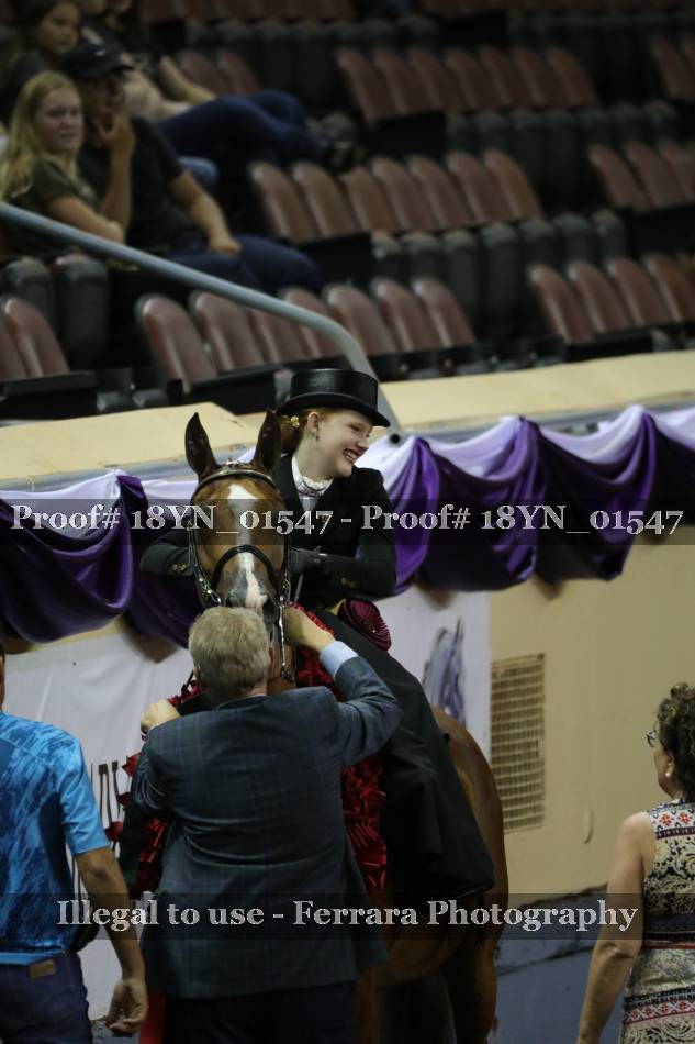 Proof 18YN_01547