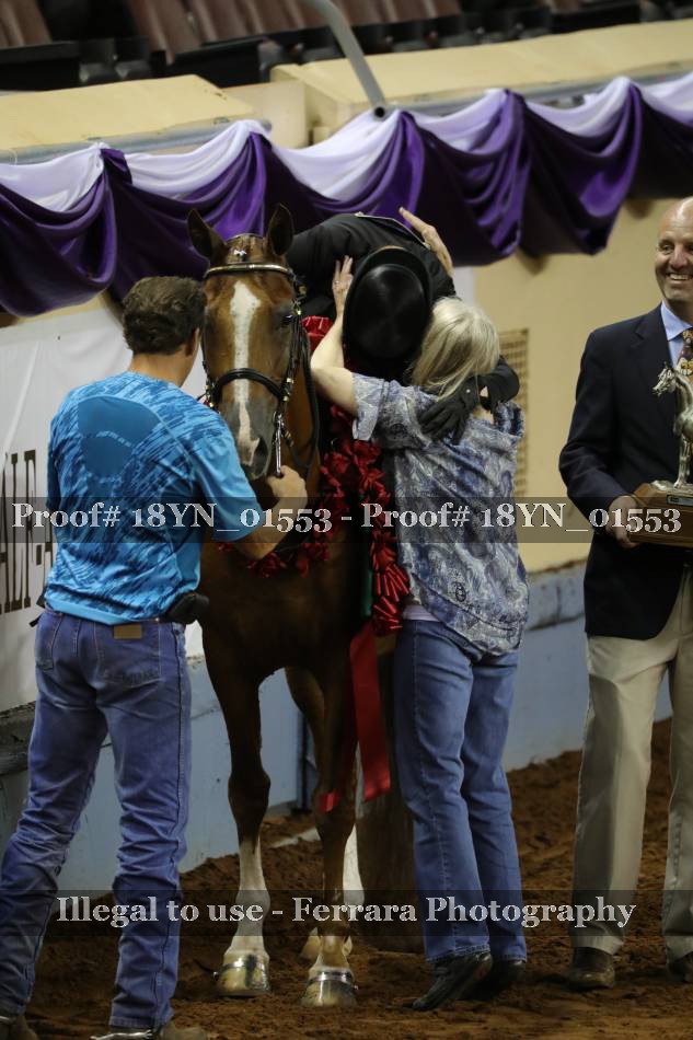 Proof 18YN_01553