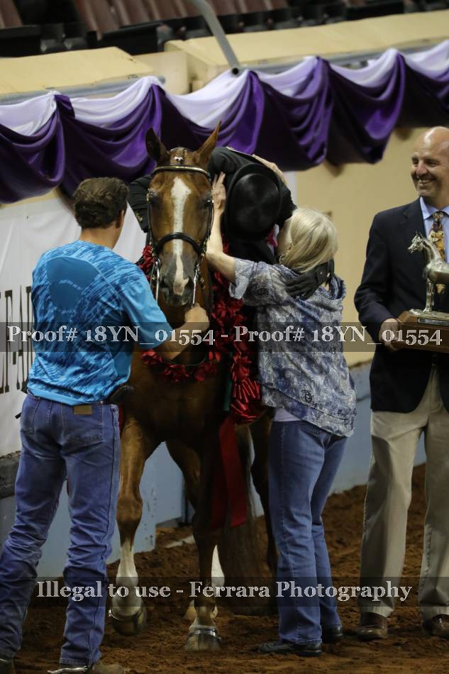 Proof 18YN_01554