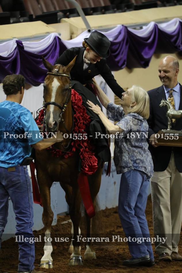 Proof 18YN_01555