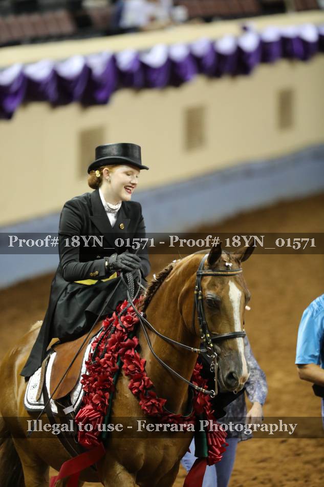Proof 18YN_01571