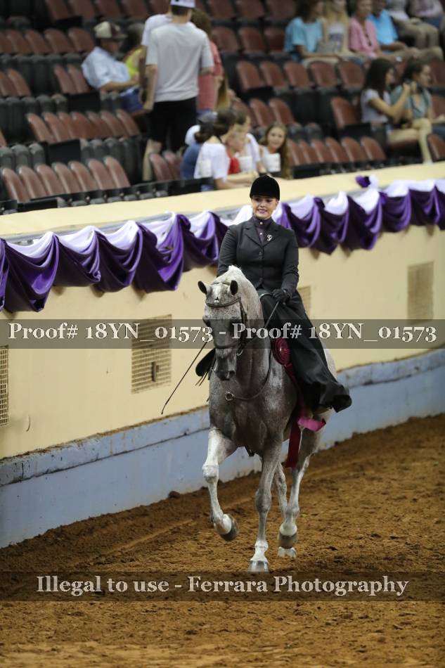 Proof 18YN_01573