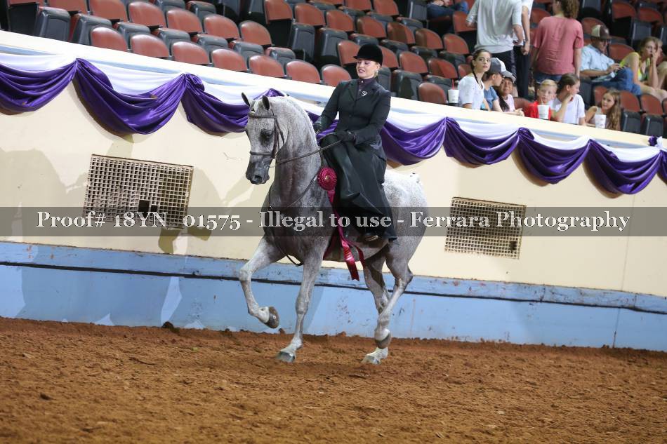 Proof 18YN_01575
