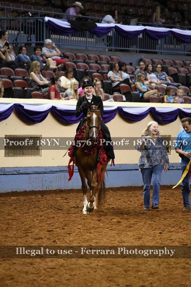 Proof 18YN_01576