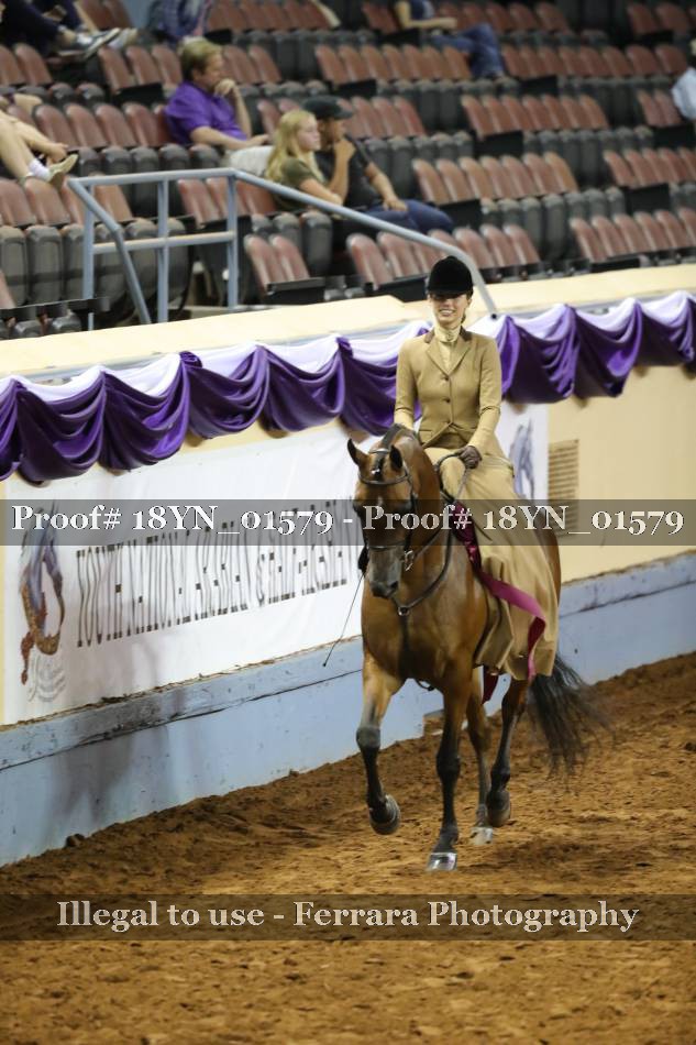Proof 18YN_01579