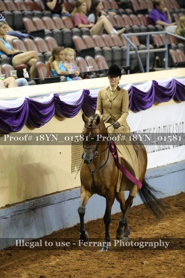 Proof 18YN_01581