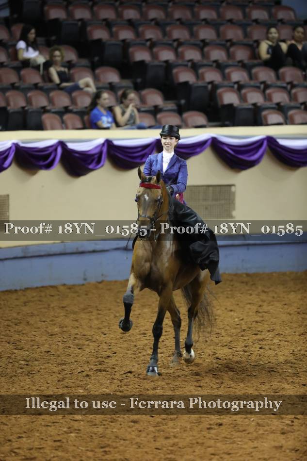 Proof 18YN_01585
