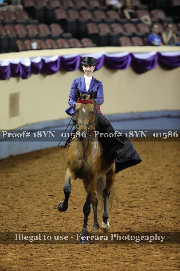 Proof 18YN_01586