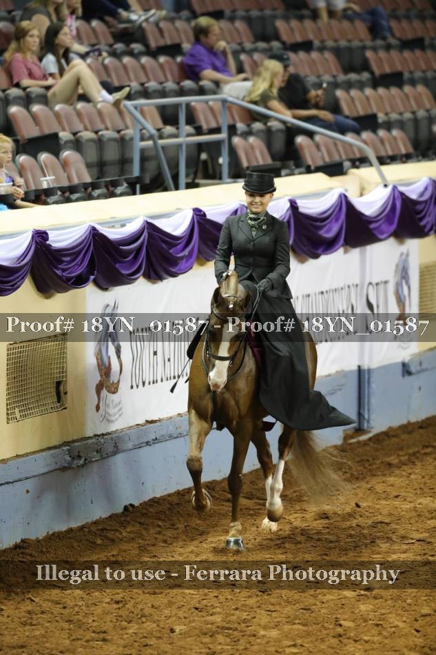 Proof 18YN_01587