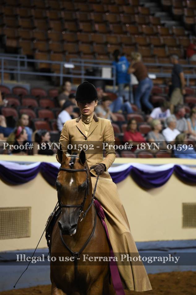Proof 18YN_01592