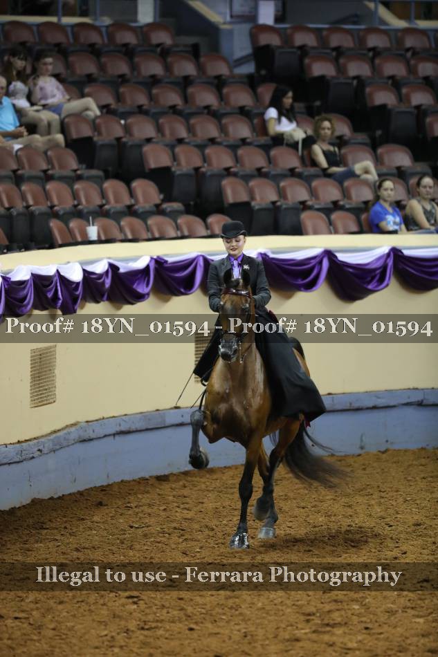 Proof 18YN_01594