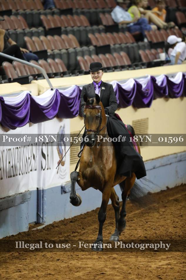 Proof 18YN_01596