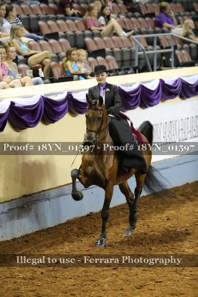 Proof 18YN_01597