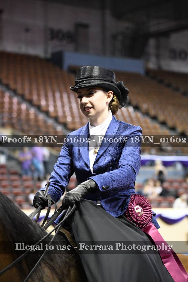 Proof 18YN_01602