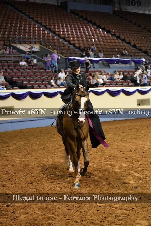 Proof 18YN_01603