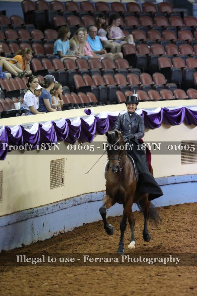 Proof 18YN_01605