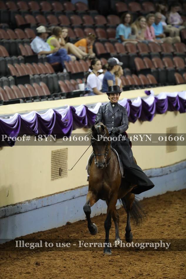 Proof 18YN_01606