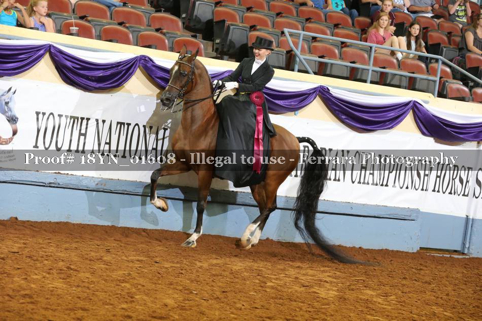 Proof 18YN_01608