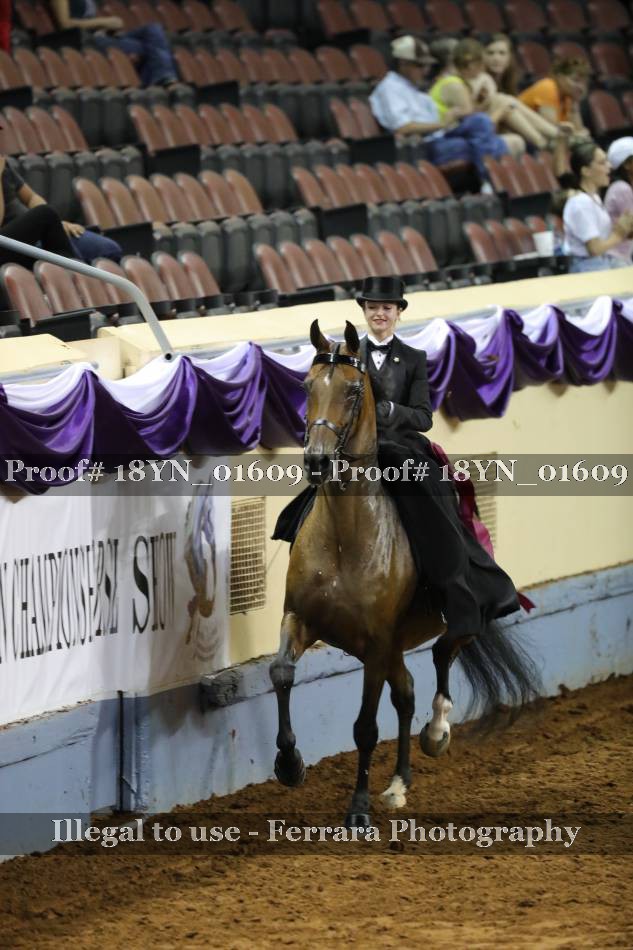 Proof 18YN_01609