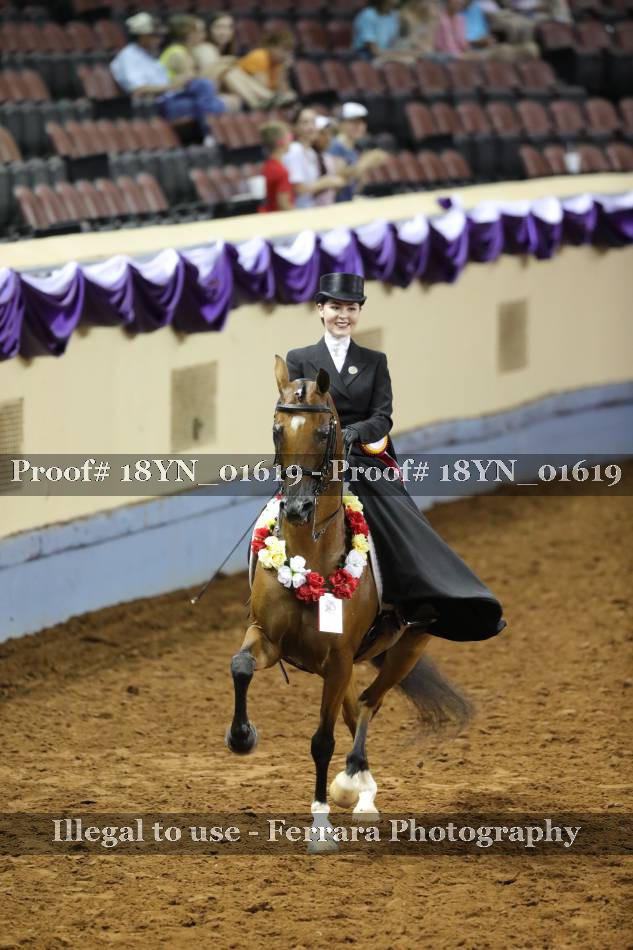 Proof 18YN_01619