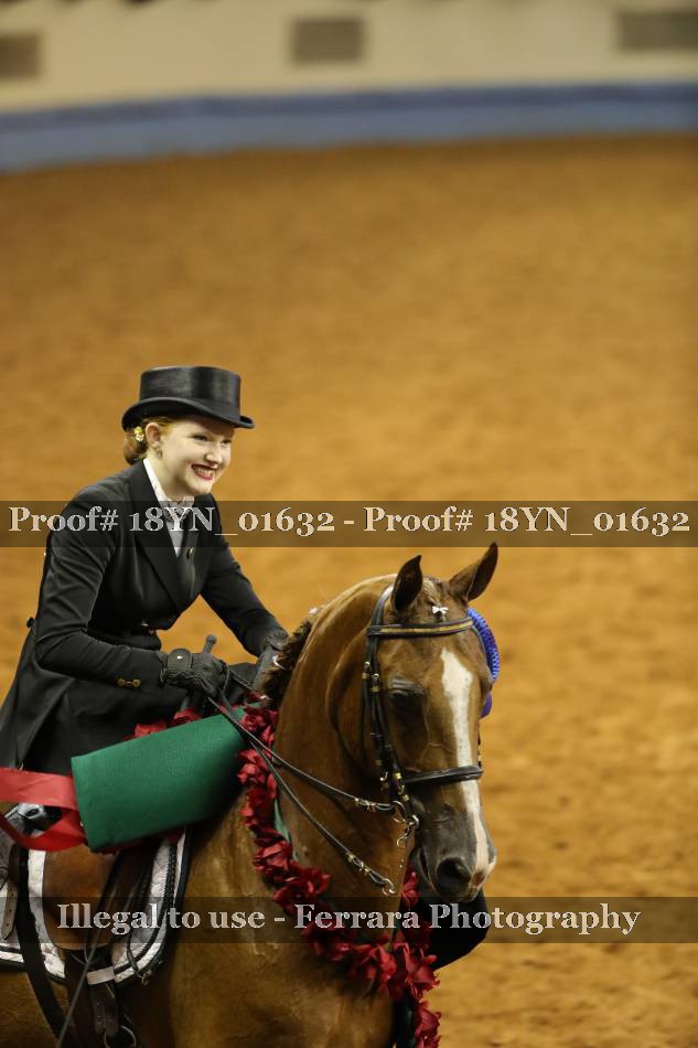 Proof 18YN_01632
