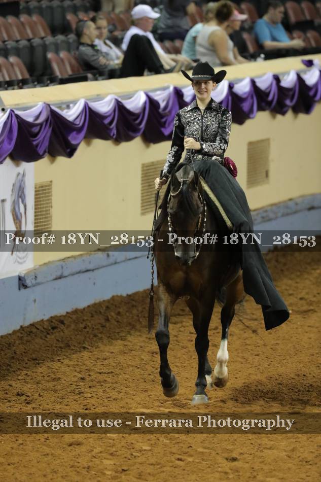 Proof 18YN_28153