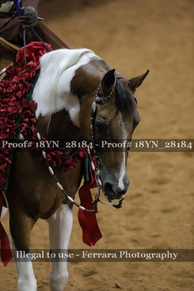 Proof 18YN_28184