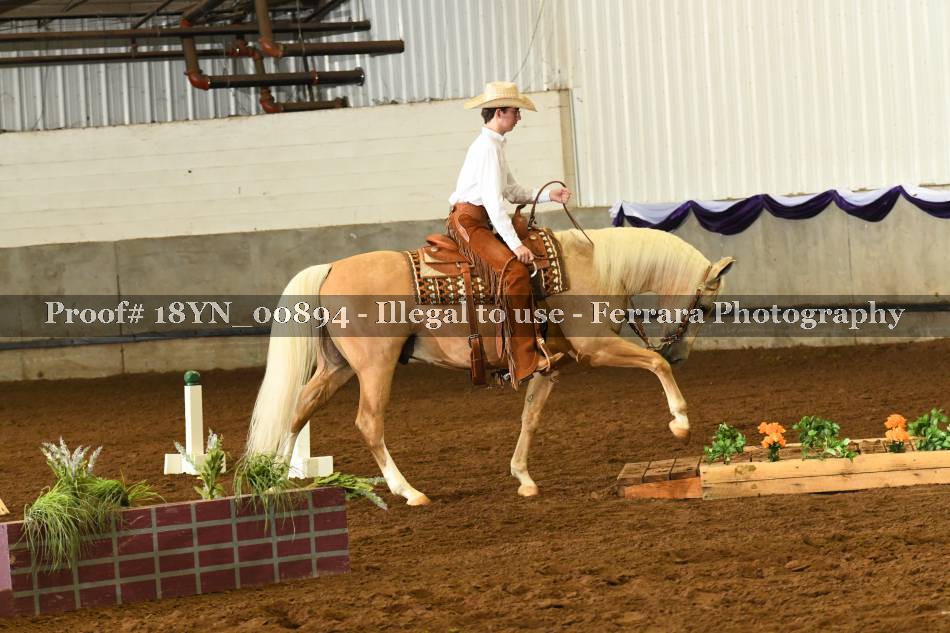 Proof 18YN_00894