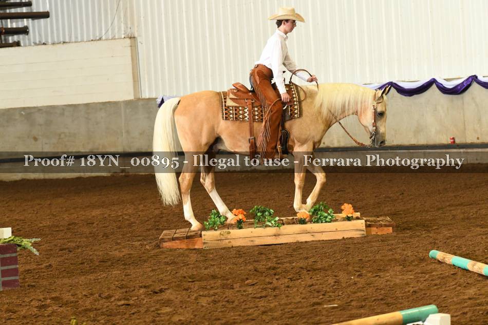 Proof 18YN_00895