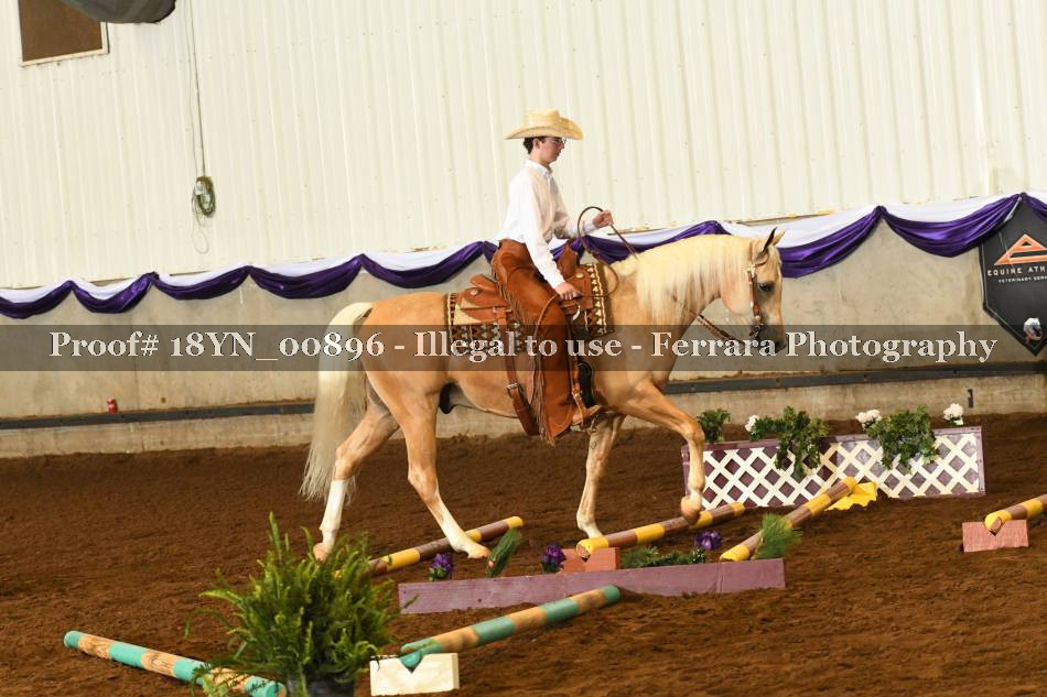 Proof 18YN_00896