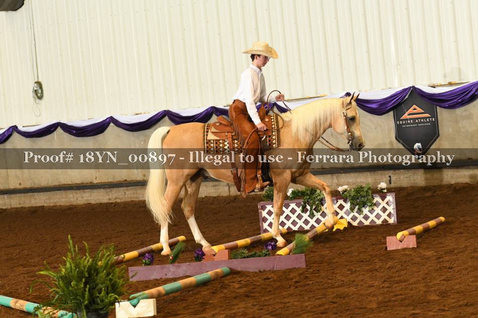 Proof 18YN_00897